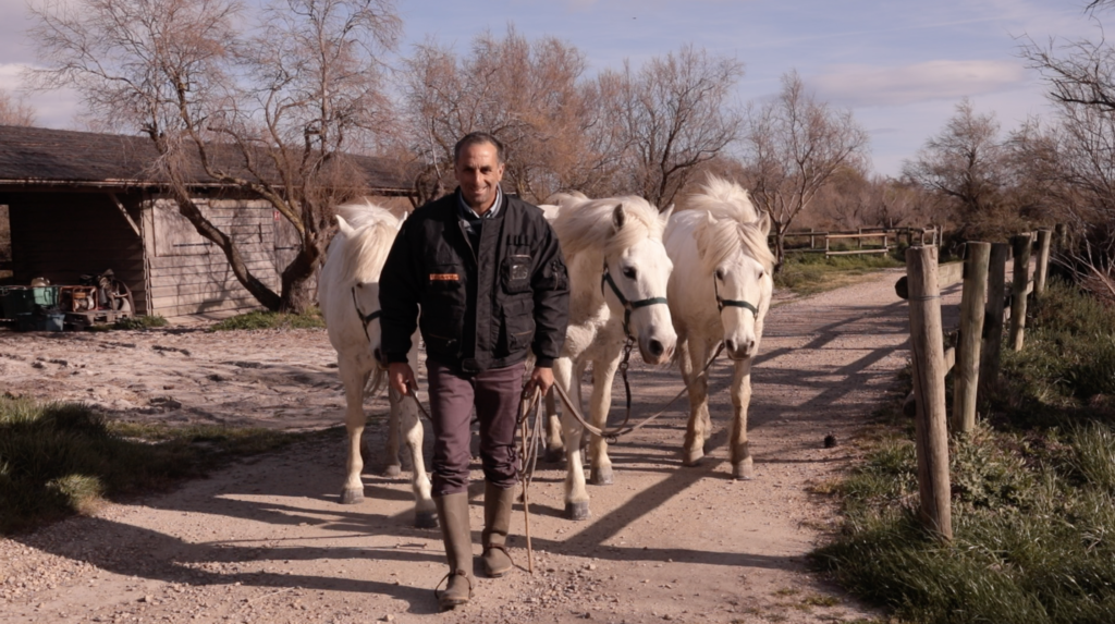 Jean-Marie Reissi et ses chevaux